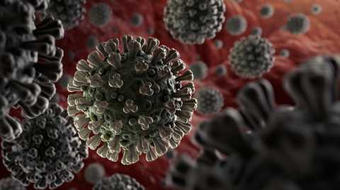 Coronavirus: in Puglia 48 nuovi casi, ma manca il dato di Foggia